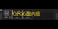 OPGG国内版